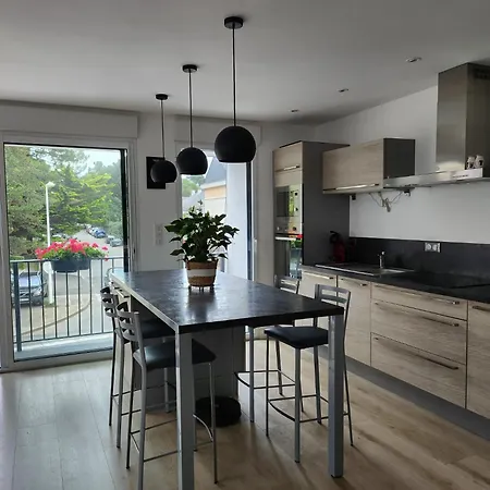 度假居 Maison Vue 波尔尼谢